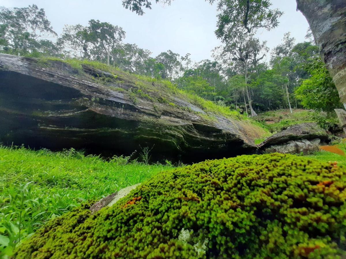 Morada Da Pedra Villa Praia Grande  Exteriör bild